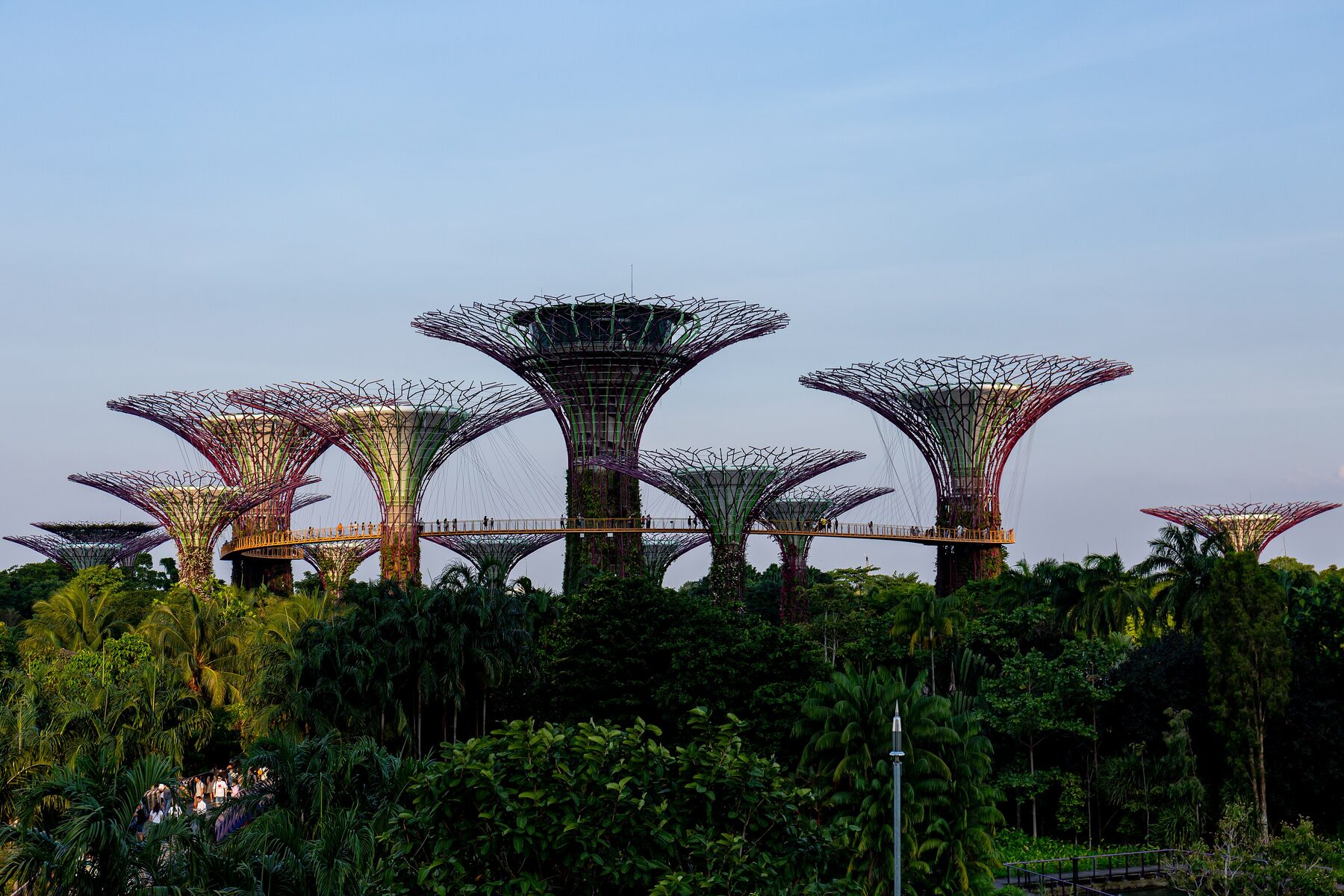 The supertrees from the outdoor gardens — the evening light show is free and does not need a conservatory ticket. Photograph via Wikimedia Commons.